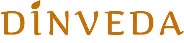 DinVeda Logo