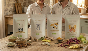 DinVeda: Deine Brücke zwischen alter Weisheit und modernem Tagesrhythmus