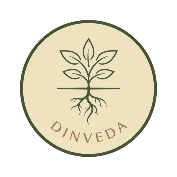 DINVEDA Logo – Bio Ritualblends